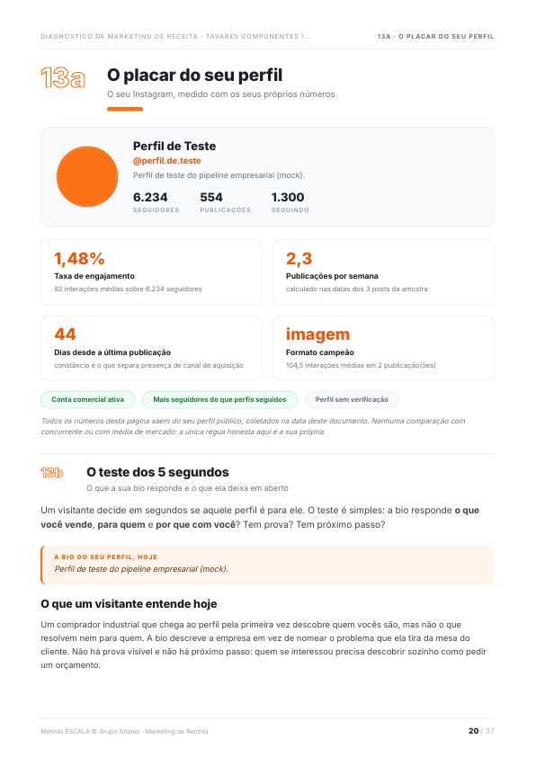 Página do Diagnóstico de Marketing de Receita com a análise do Instagram